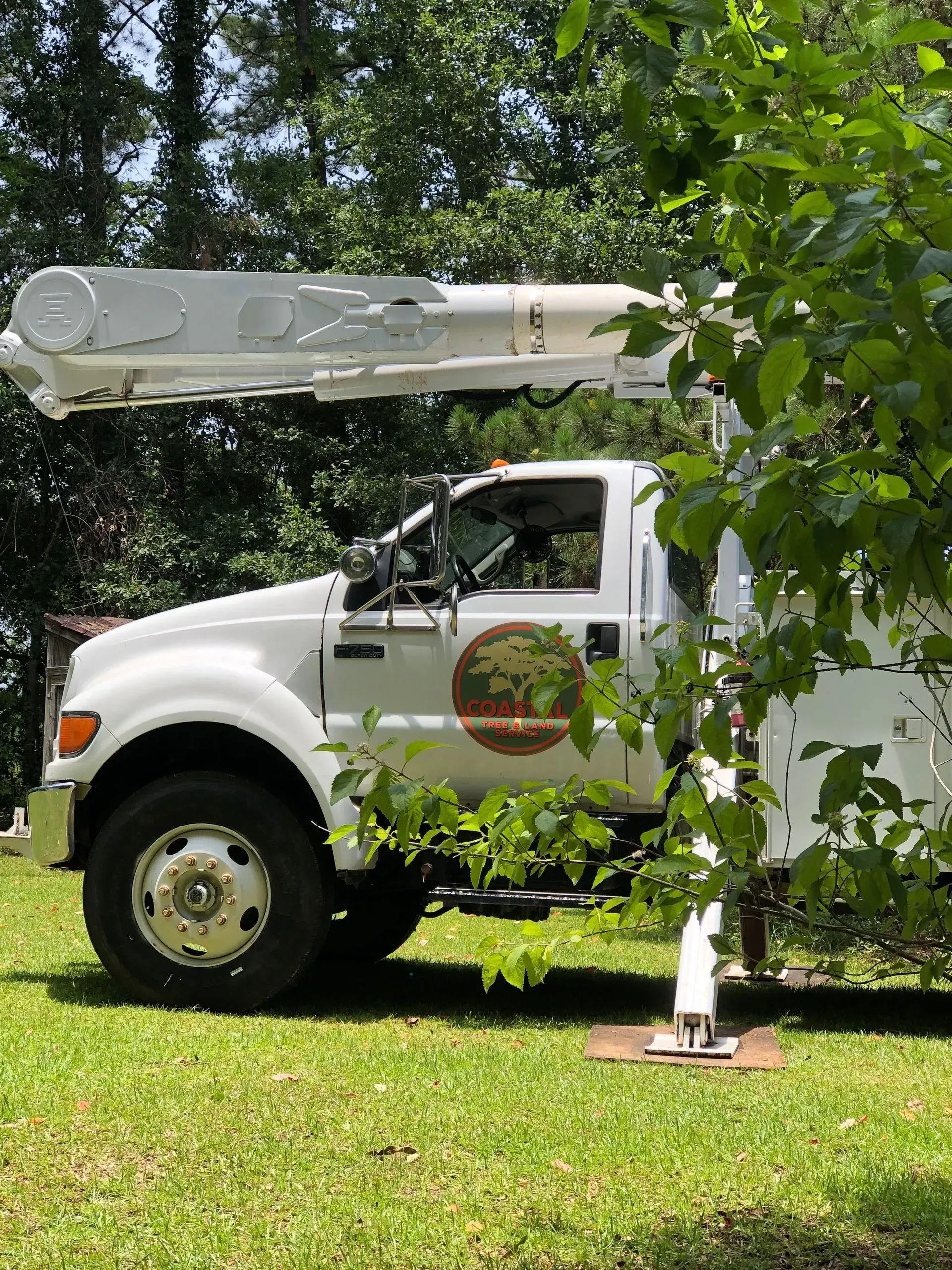 White tree service truck with extended boom arm in a grassy yard, partially obscured by green leaves.