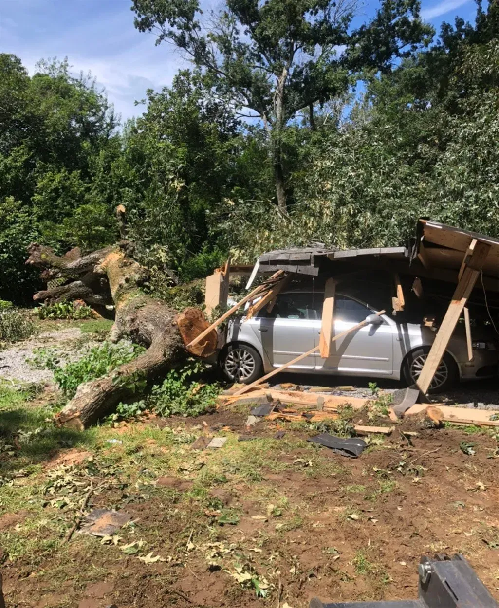 A silver car is crushed under a fallen tree that has also damaged a carport.