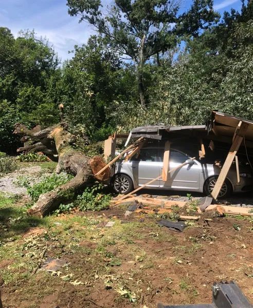 Silver car crushed by a fallen tree and part of a wooden structure. Exterior shot, sunny day.