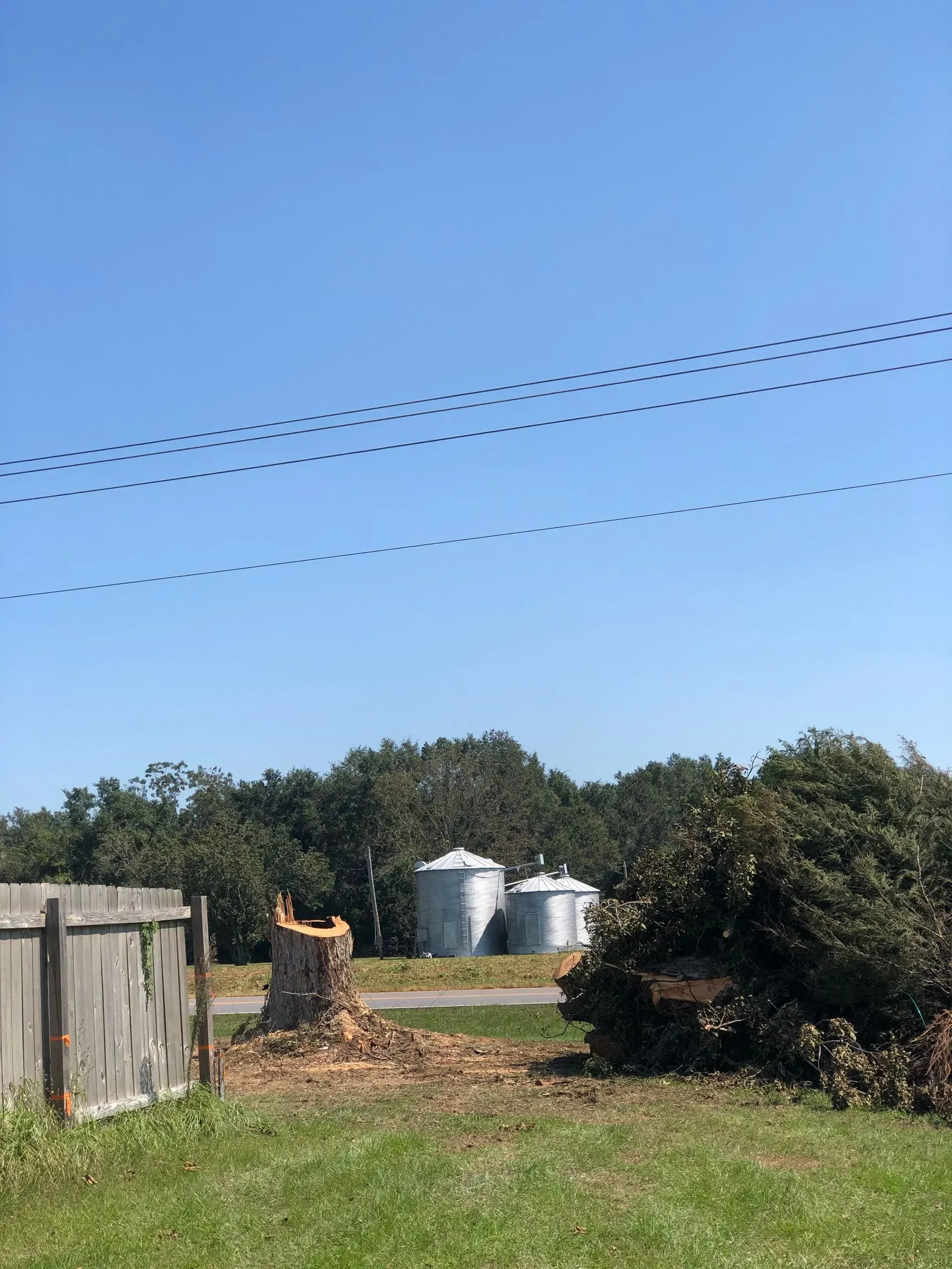Farm scene with silos, trees, and flock of birds against a blue sky.