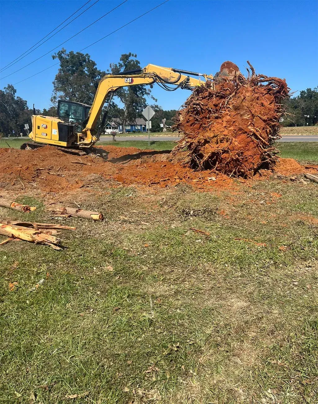 Yellow excavator removing a large tree root system from a grassy area.