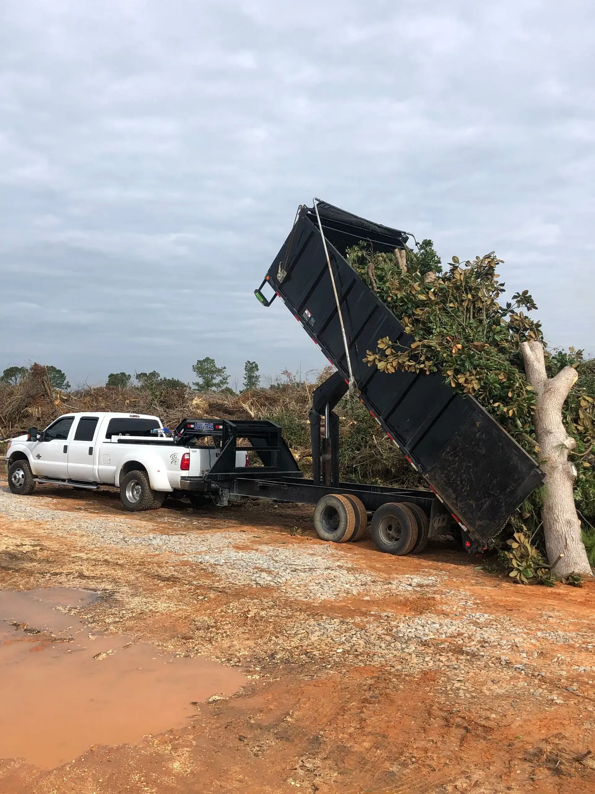White truck towing a dump trailer filled with tree branches, dumping contents on a dirt lot under a cloudy sky.