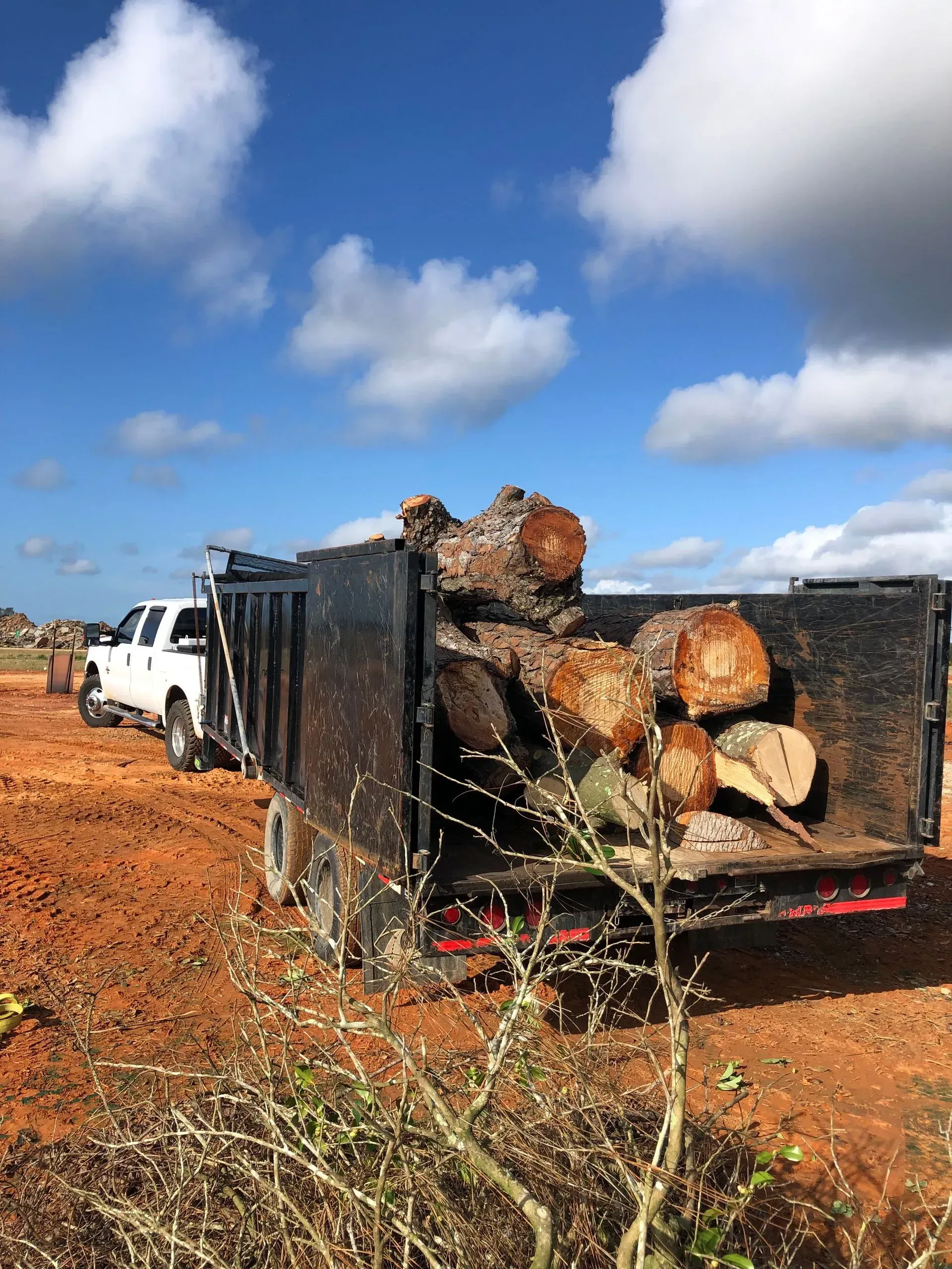 White truck pulling a trailer loaded with logs on a dirt field under a cloudy blue sky.