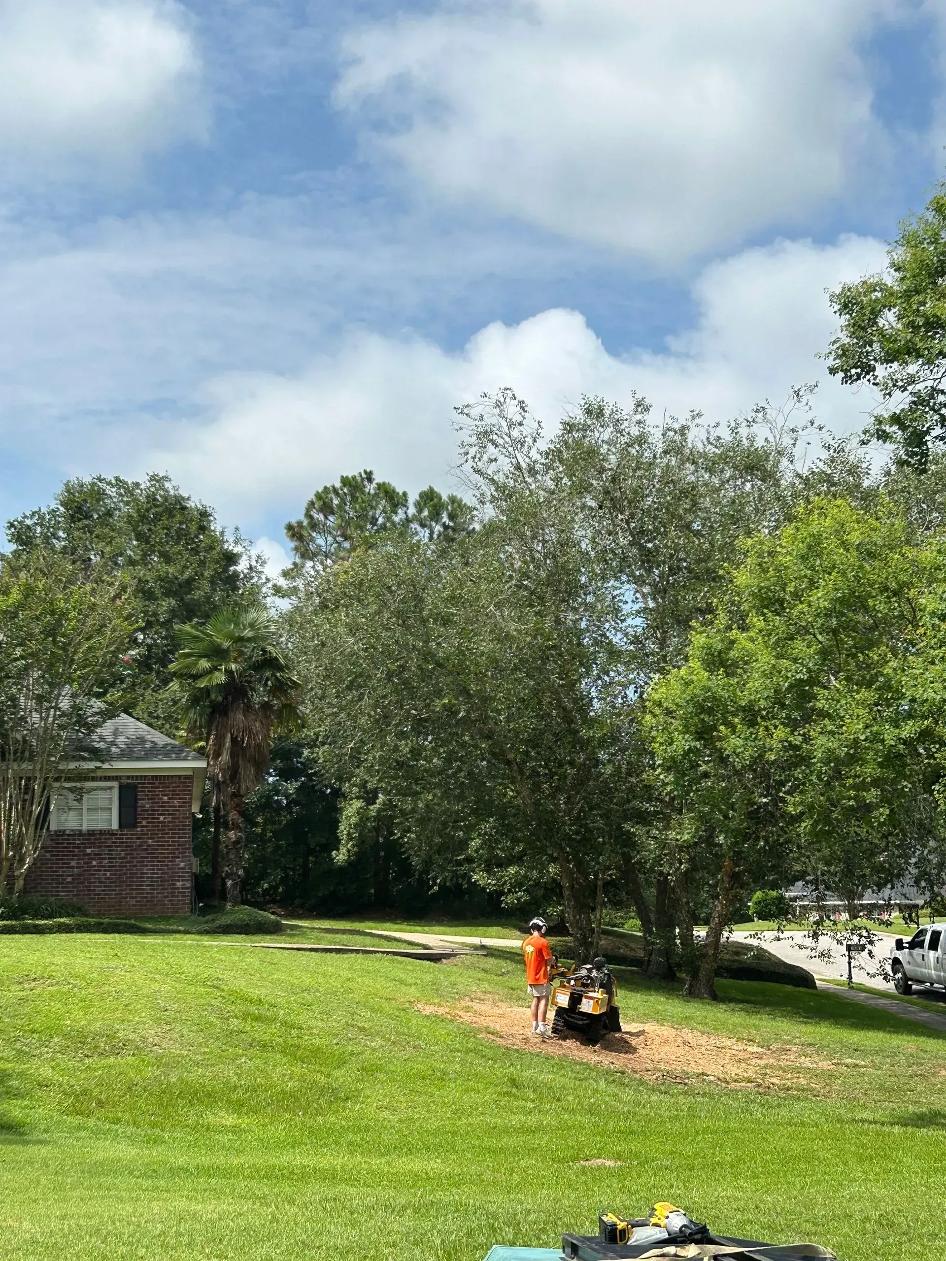 Person operating a stump grinder in a grassy yard, tree in the center, house and sky in the background.