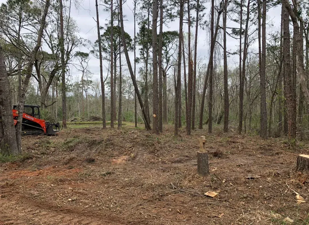 Land clearing in a forest; a small orange machine is visible, with cut trees and exposed soil.