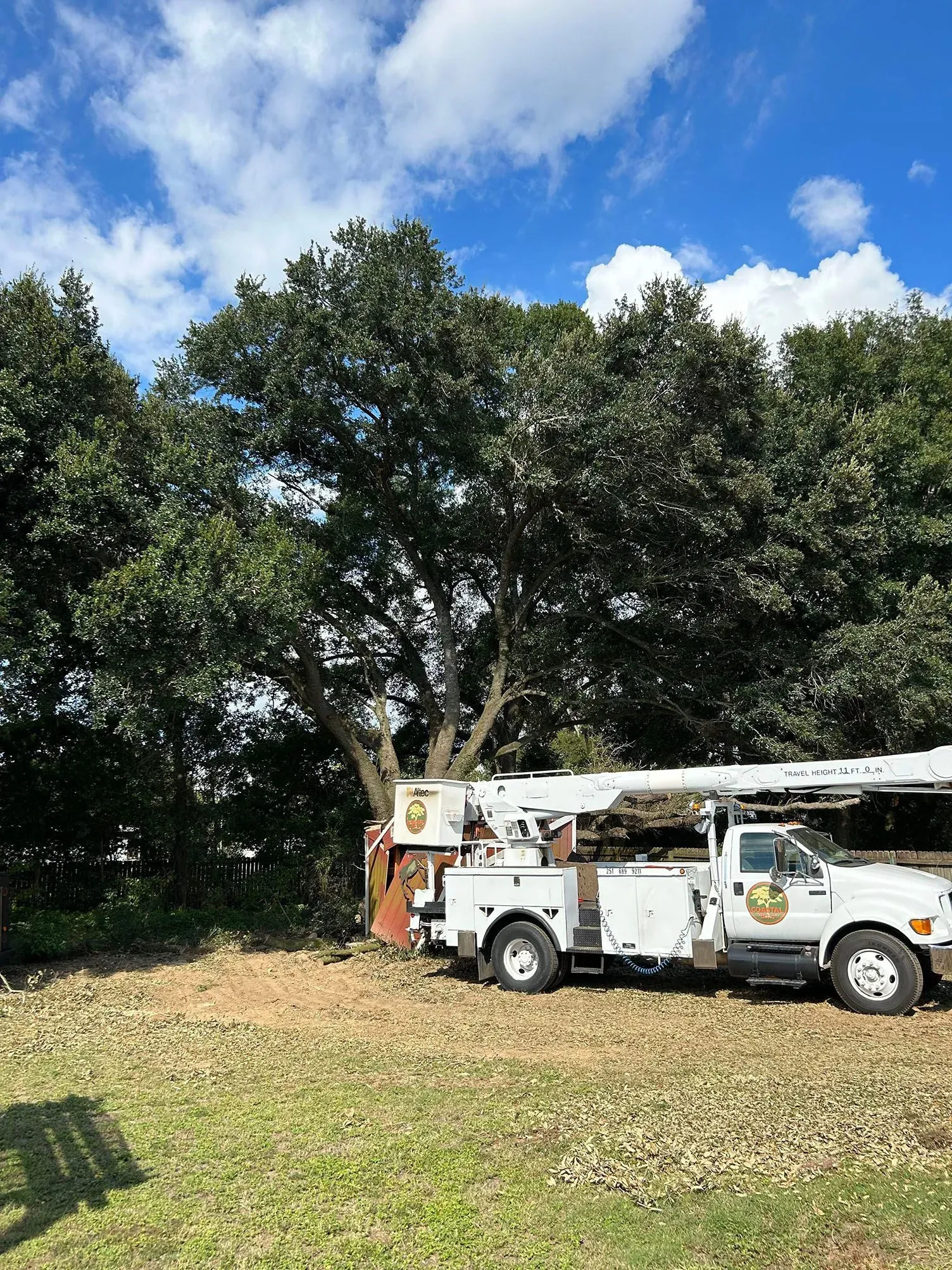 White utility truck parked by a large tree with green leaves, under a blue sky with clouds.