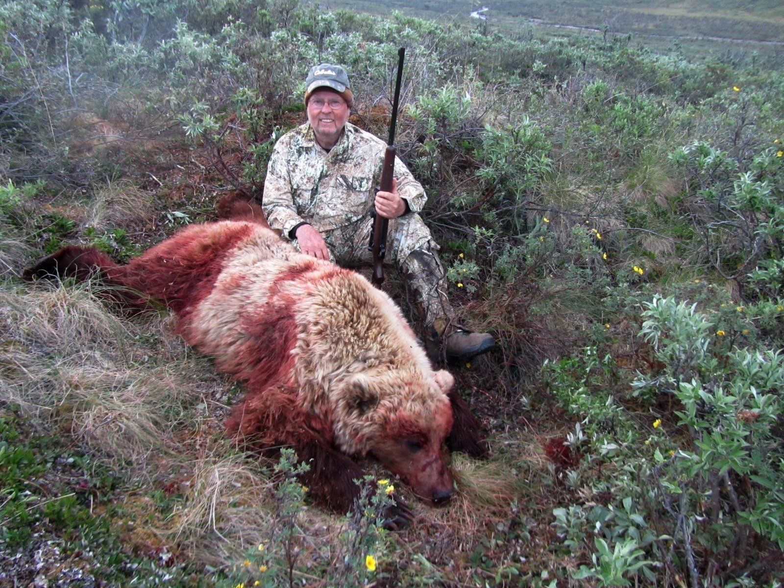 Alaska Grizzly Bear Hunting. Hunt, Chugach Mountains, Talkeetna Mountains