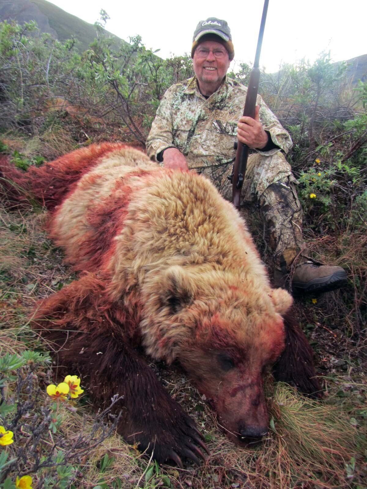 Alaska Grizzly Bear Hunting. Hunt, Chugach Mountains, Talkeetna Mountains