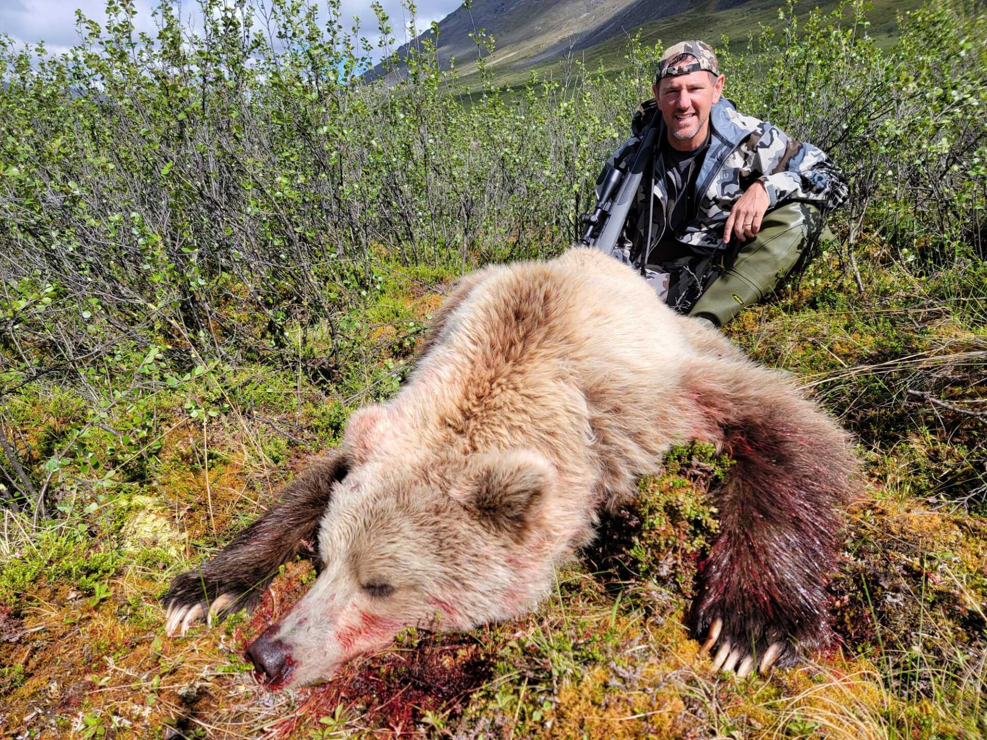 Chugach Mountains and the Talkeetna Mountains, Alaska Mountain Grizzly bear hunting, Alaska mountain grizzly bear hunt
