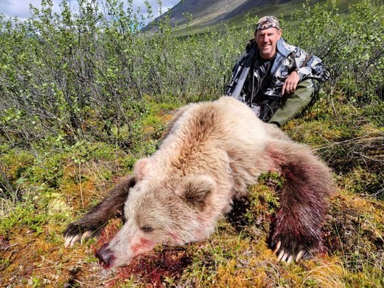 Chugach Mountains and the Talkeetna Mountains,Alaska Mountain Grizzly bear hunting, Alaska mountain grizzly bear hunt
