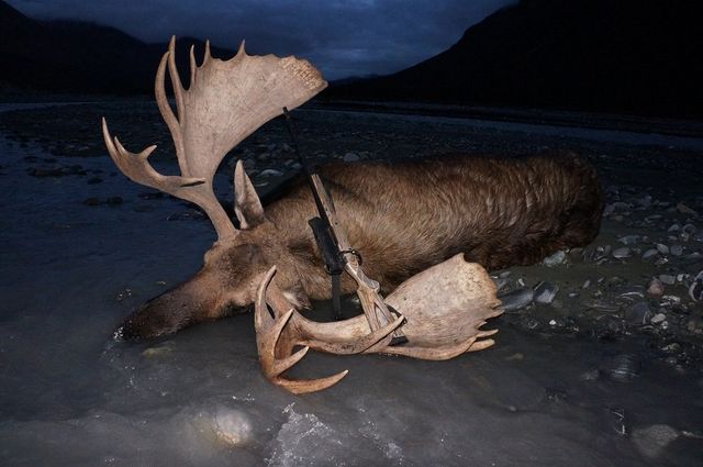 Hunting Guides and Outfitters — photo 3