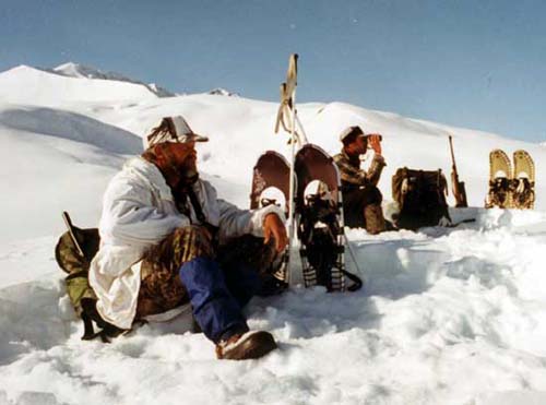 Alaska Spring Grizzly bear hunting, Grizzly bear hunt, Alaska Coastal Brown bear hunting
