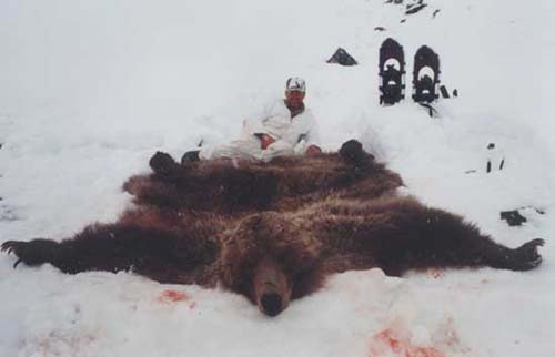Alaska Grizzly bear hunting, Grizzly bear hunt, Alaska Coastal Brown bear hunting