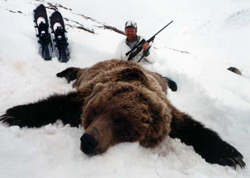 Alaska Grizzly bear hunting, Grizzly bear hunt, Alaska Coastal Brown bear hunting
