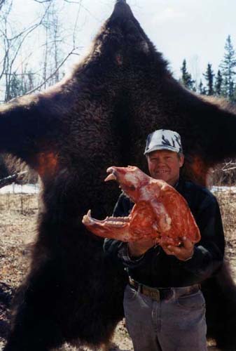 Alaska Grizzly bear hunting, Grizzly bear hunt, Alaska Coastal Brown bear hunting