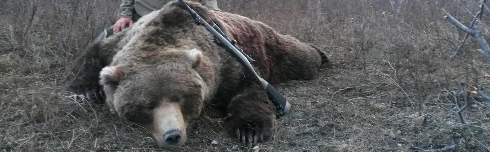 Alaska Grizzly Bear Hunting, Grizzly bear hunt