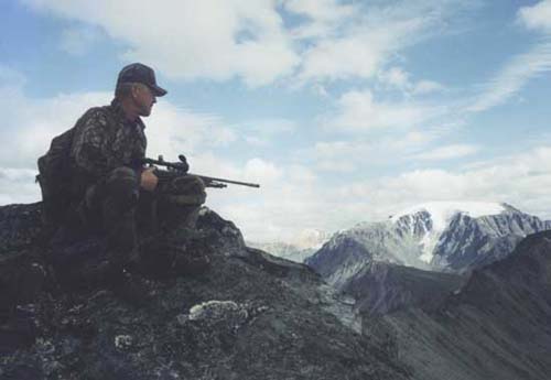 Alaska Dall sheep hunting, Alaska Sheep hunting, Sheep hunting Alaska