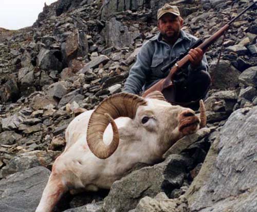 Alaska Dall sheep hunting, Alaska Sheep hunting, Sheep hunting Alaska