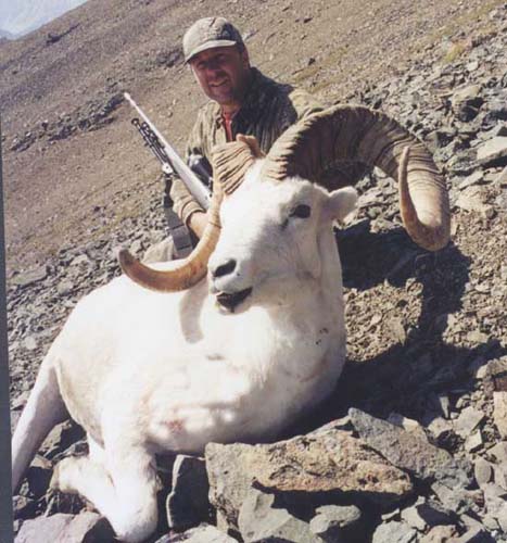 Alaska Dall sheep hunting, Alaska Sheep hunting, Sheep hunting Alaska