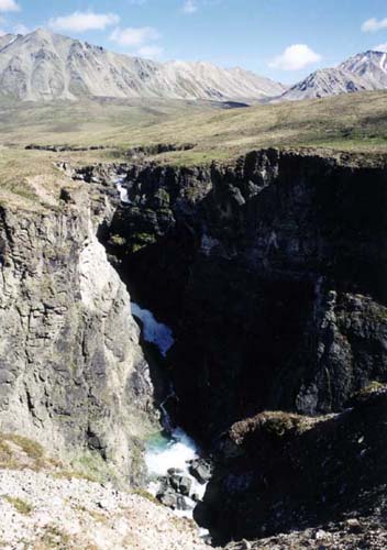 Alaska Dall sheep hunting, Alaska Sheep hunting, Sheep hunting Alaska