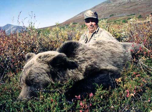 Alaska Grizzly bear hunting, Grizzly bear hunt, Alaska Coastal Brown bear hunting