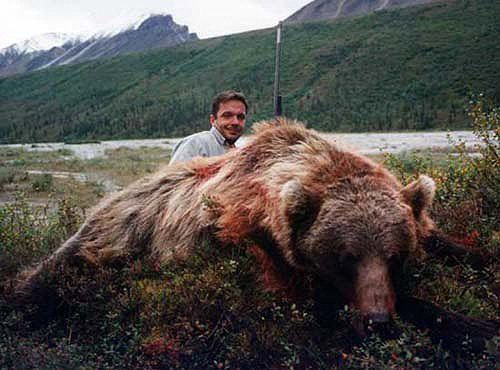Alaska Grizzly bear hunting, Grizzly bear hunt, Alaska Coastal Brown bear hunting