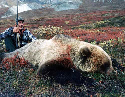Alaska Grizzly bear hunting, Grizzly bear hunt, Alaska Coastal Brown bear hunting