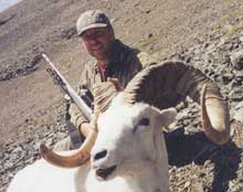 Alaska Sheep hunting outfitter, Alaska Sheep hunting guide, Alaska Dall sheep hunting