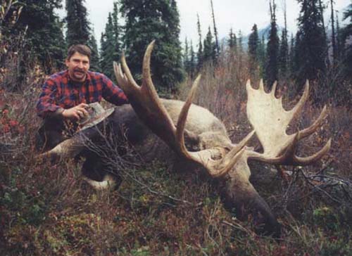 Yukon Moose hunting outfitter, Alaska Moose hunt, Alaska Moose hunting guide