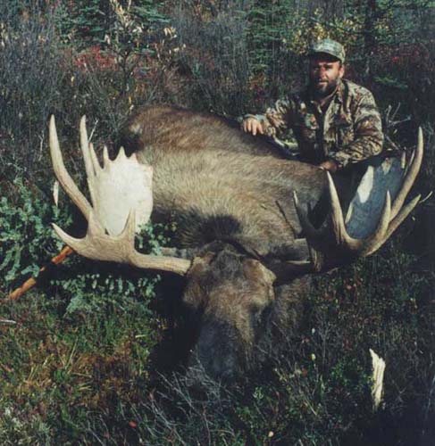 Alaska Moose hunting outfitter, Alaska Moose hunt, Alaska Moose hunting guide