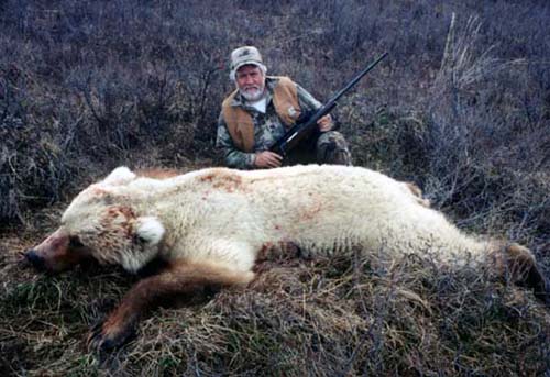 Alaska Grizzly bear hunting, Grizzly bear hunt, Alaska Coastal Brown bear hunting