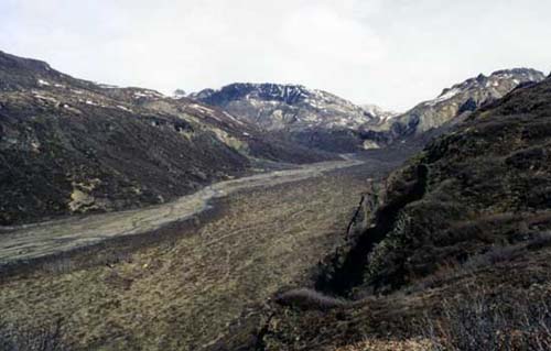Alaska Grizzly bear hunting, Grizzly bear hunt, Alaska Coastal Brown bear hunting