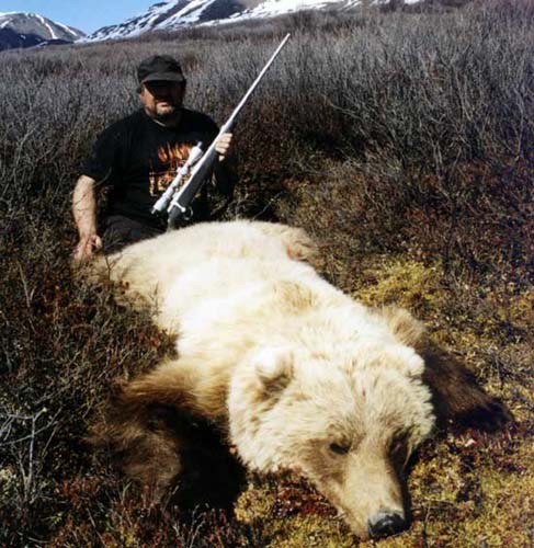 Alaska Grizzly bear hunting, Grizzly bear hunt, Alaska Coastal Brown bear hunting