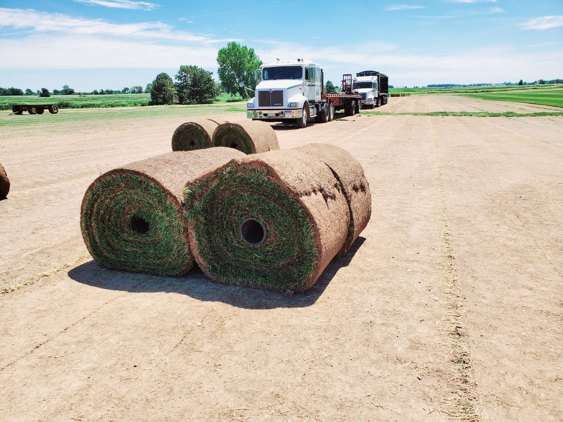 A truck is carrying rolls of grass in a field.