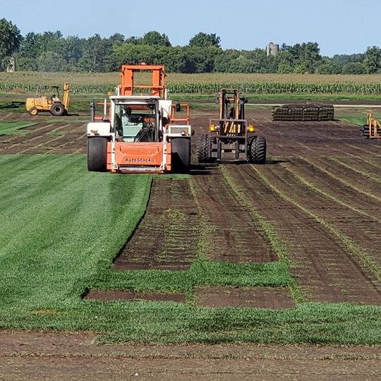 A tractor is cutting grass in a field with a forklift in the background