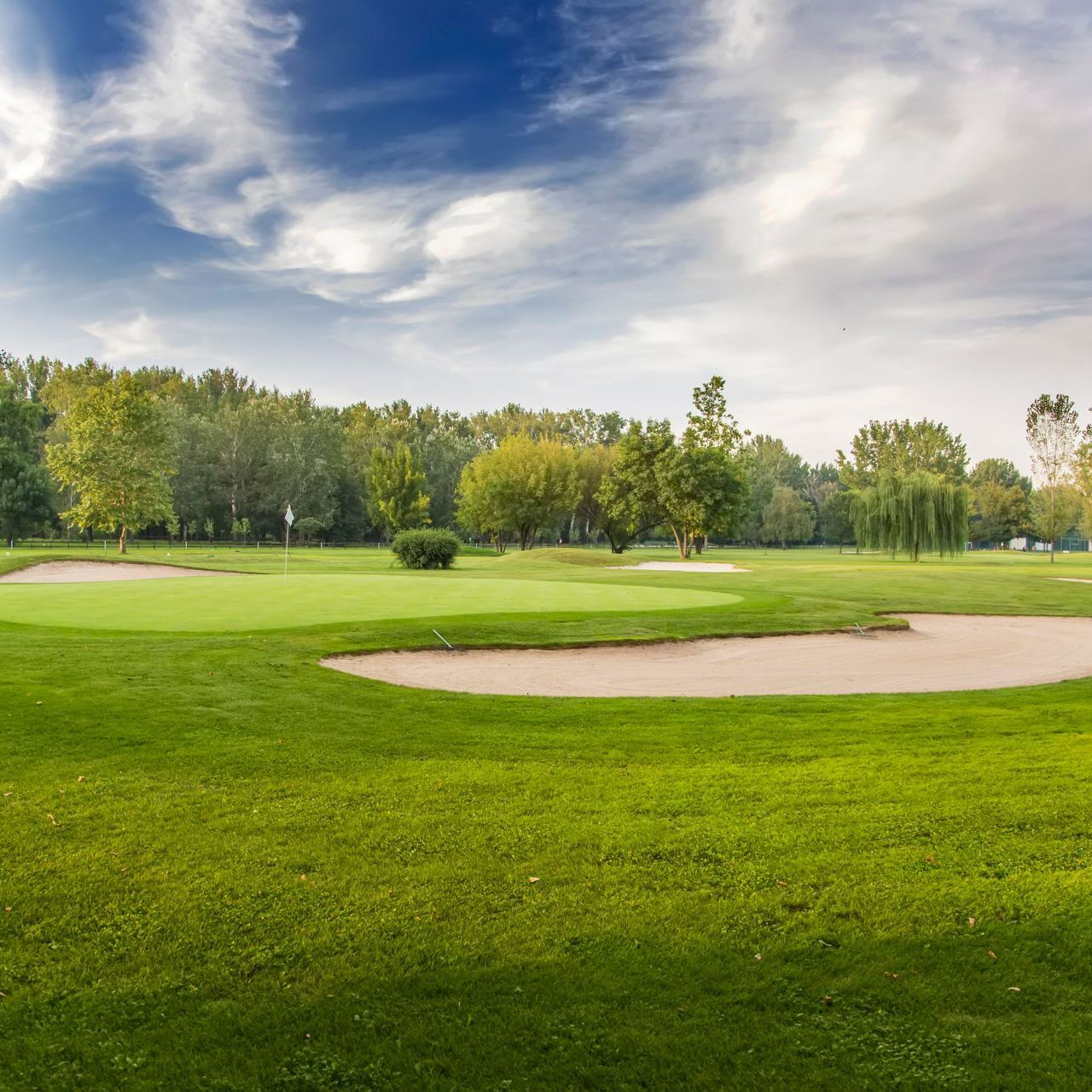 A lush green golf course with trees in the background