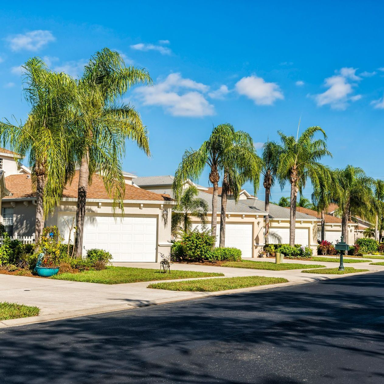 A row of houses with palm trees on the side of the road.