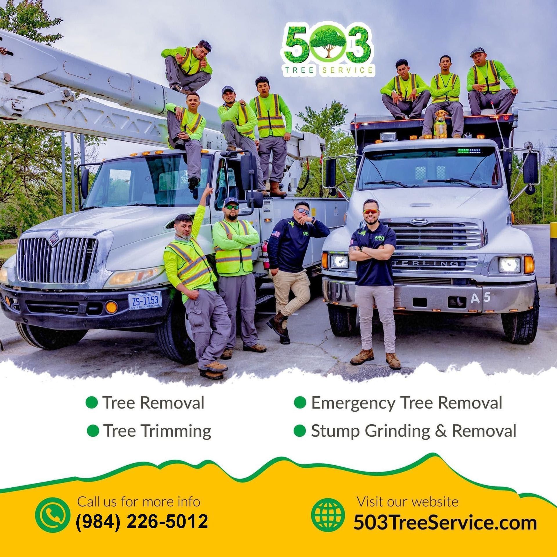 A group of men are standing on top of trucks for 503 tree service