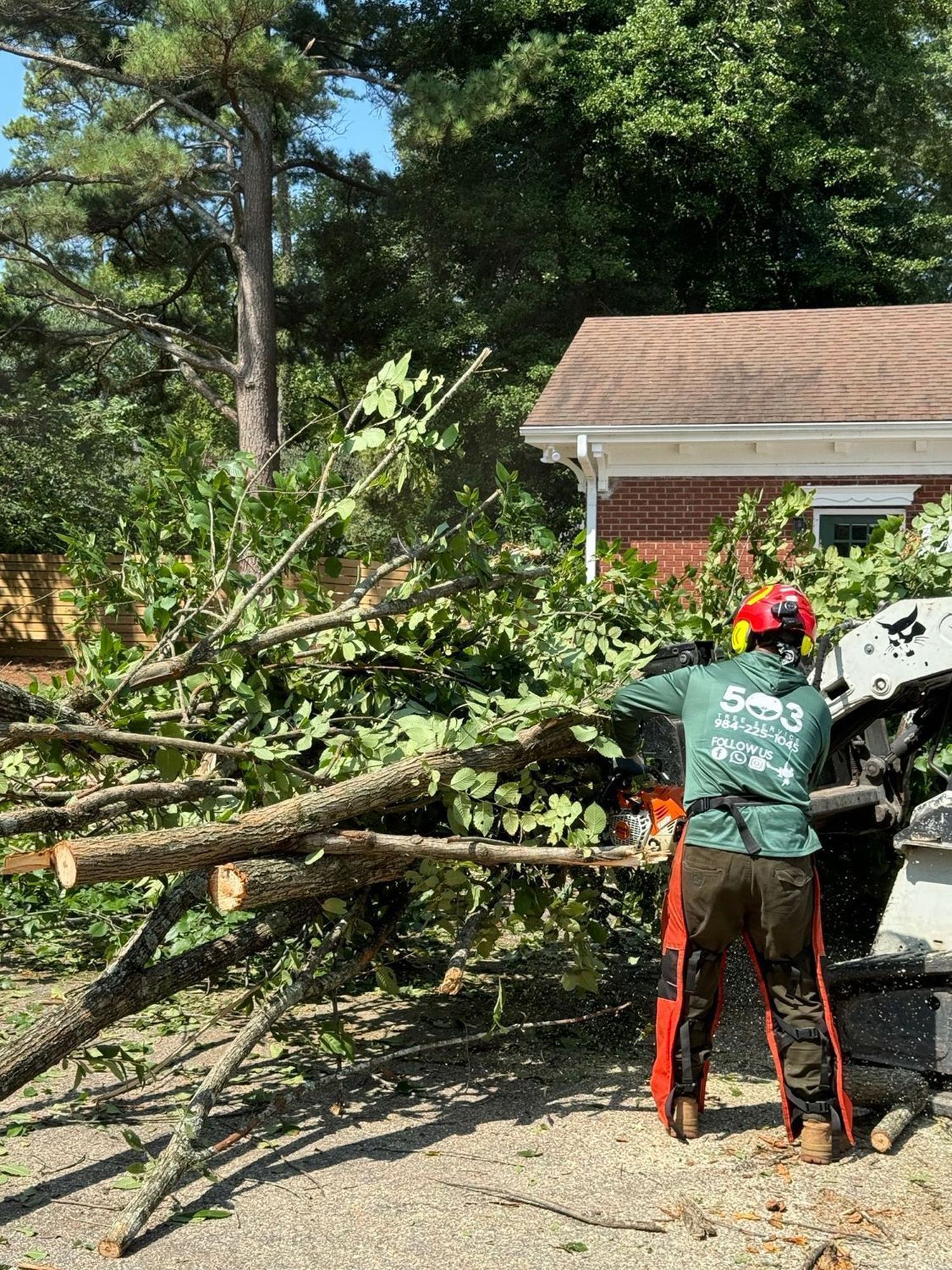A man is cutting a tree with a chainsaw in front of a house.