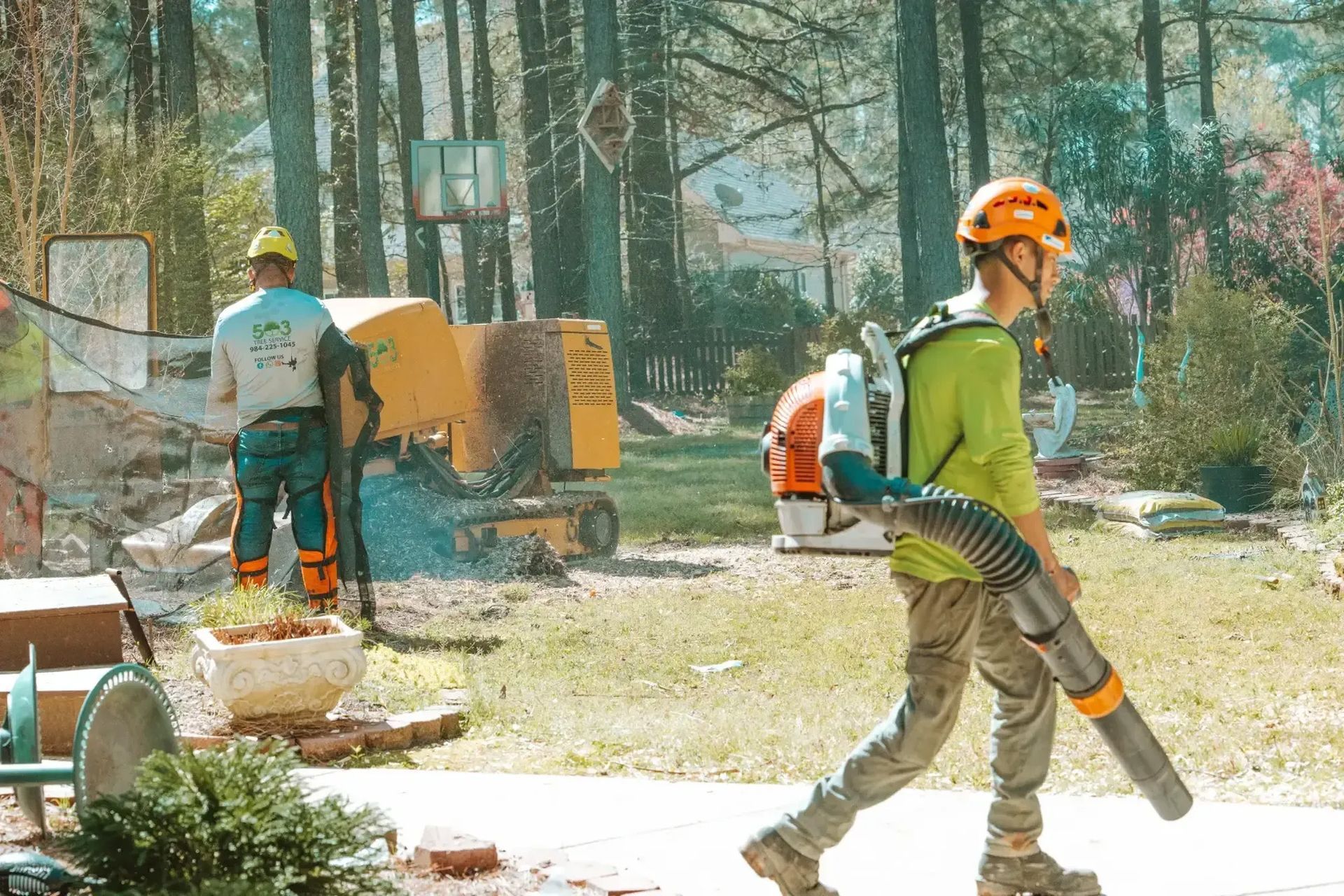 Arborist using a leaf blower in a yard while others work with machinery. Sunlight through trees.