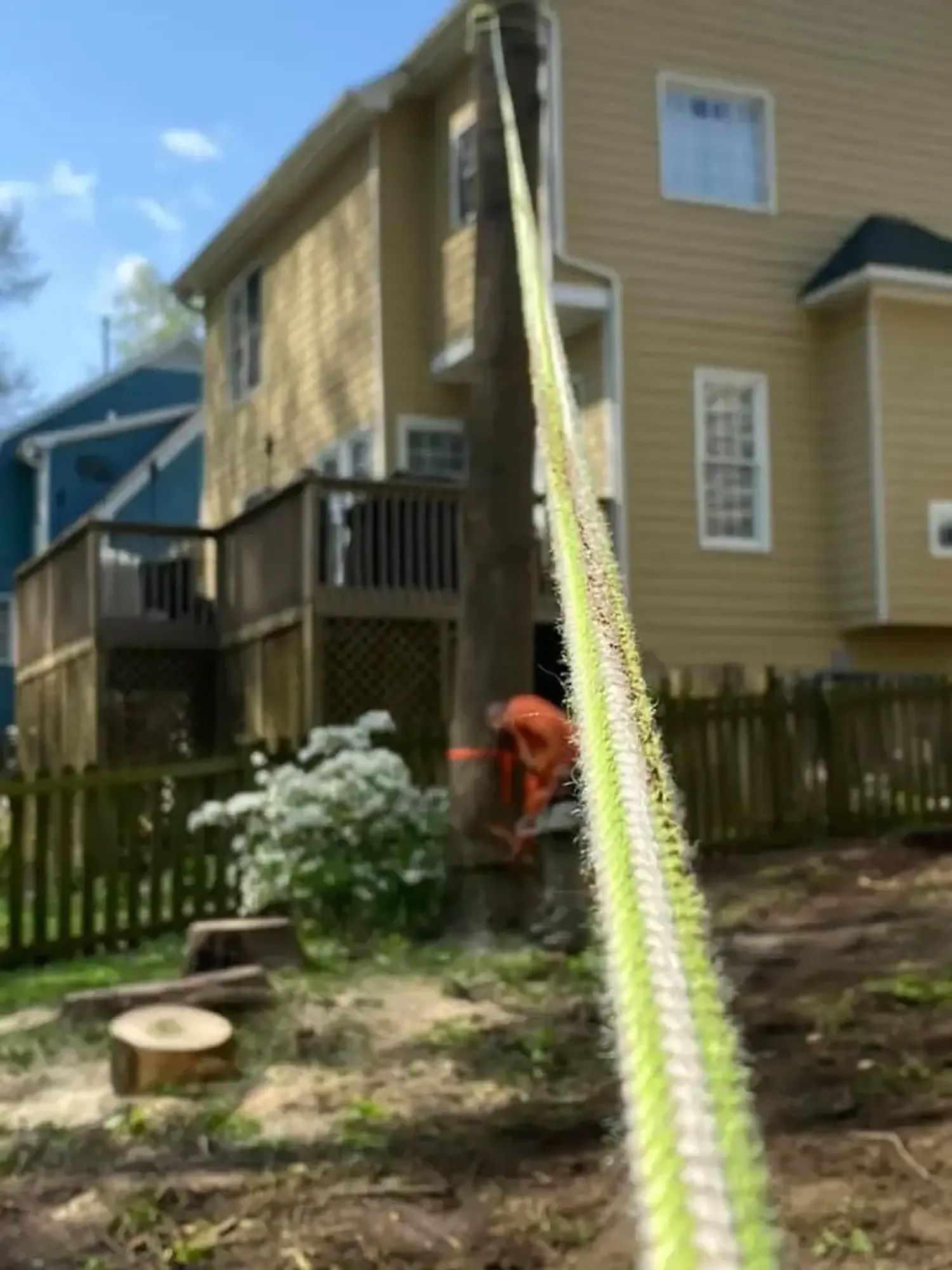 A man is cutting a tree in front of a house