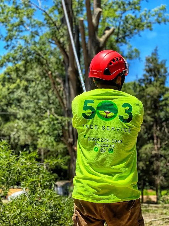 A man wearing a helmet and a green shirt is standing next to a tree.