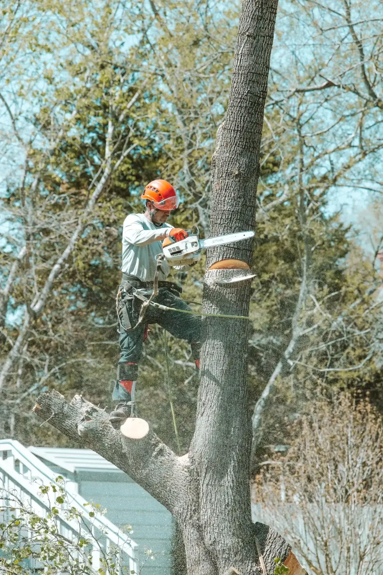 A man wearing a helmet and a green shirt is standing next to a tree.
