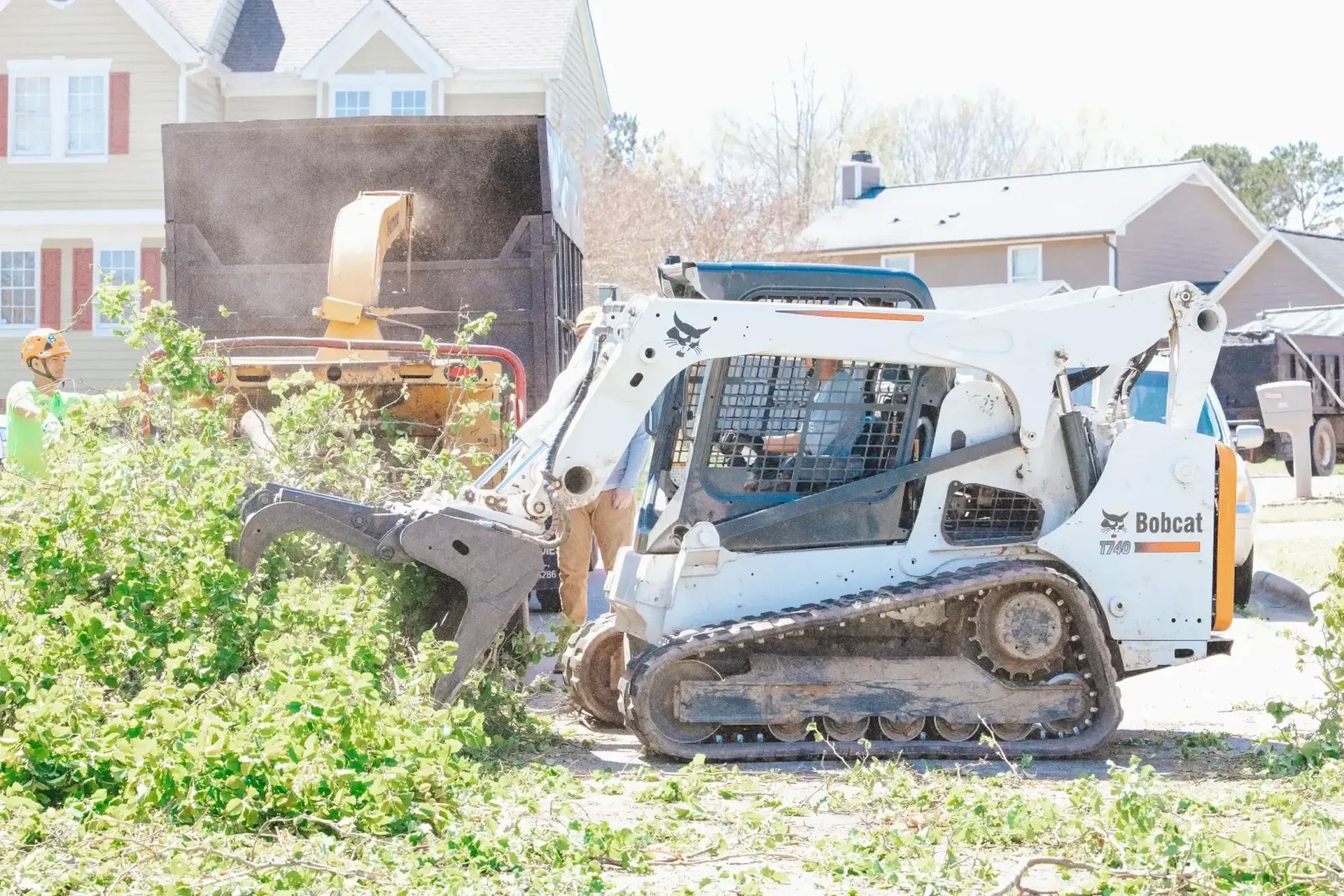 A bobcat tractor is cutting down trees in a yard