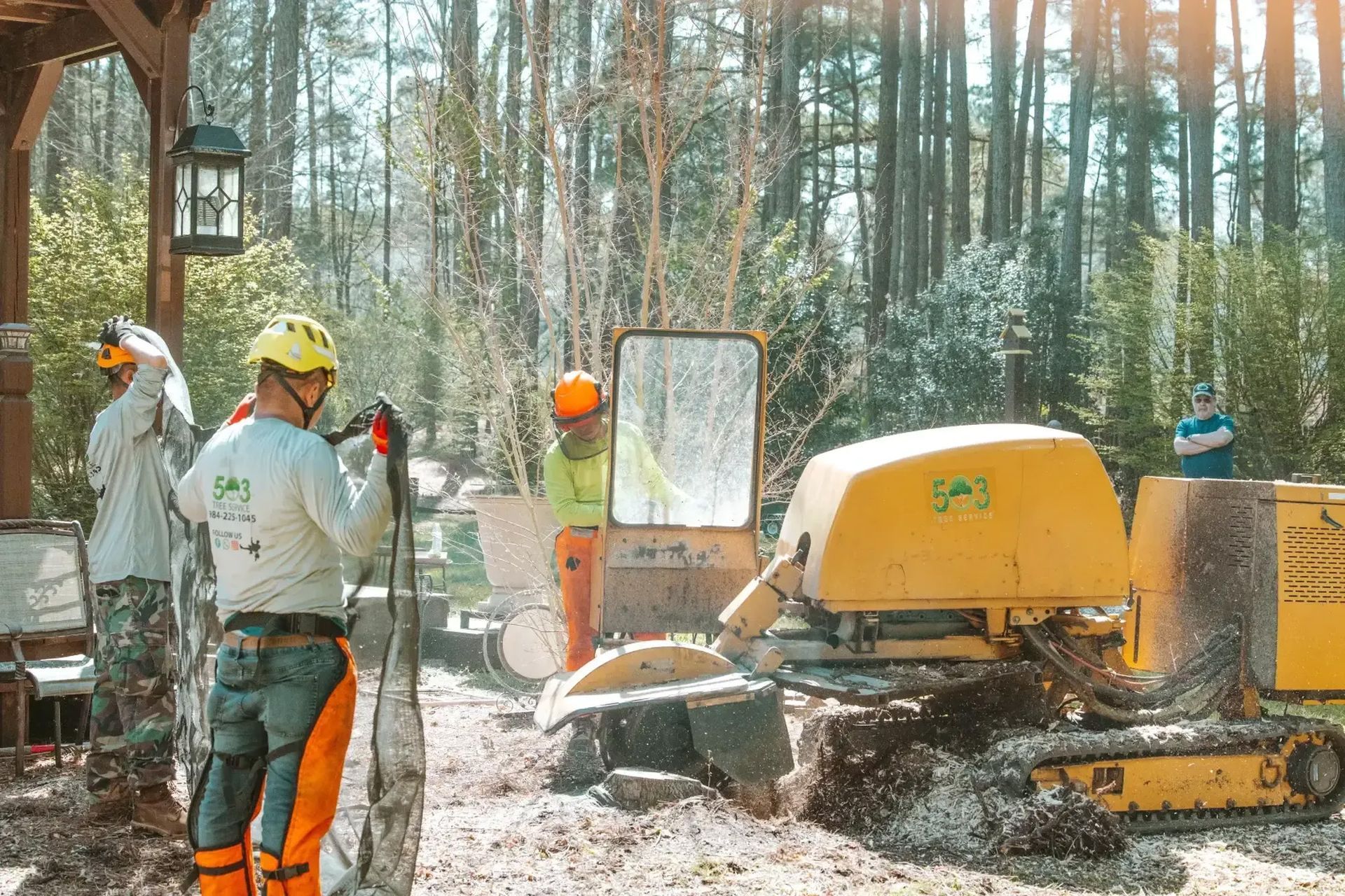 A group of men are working on a tree stump in the woods.