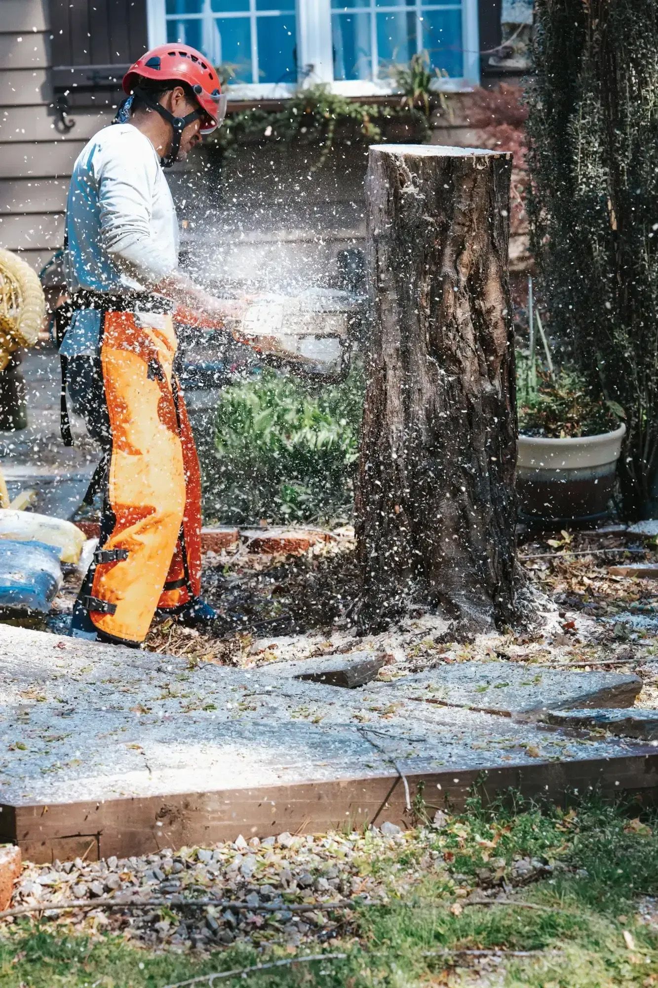 A man is cutting a tree stump with a chainsaw.