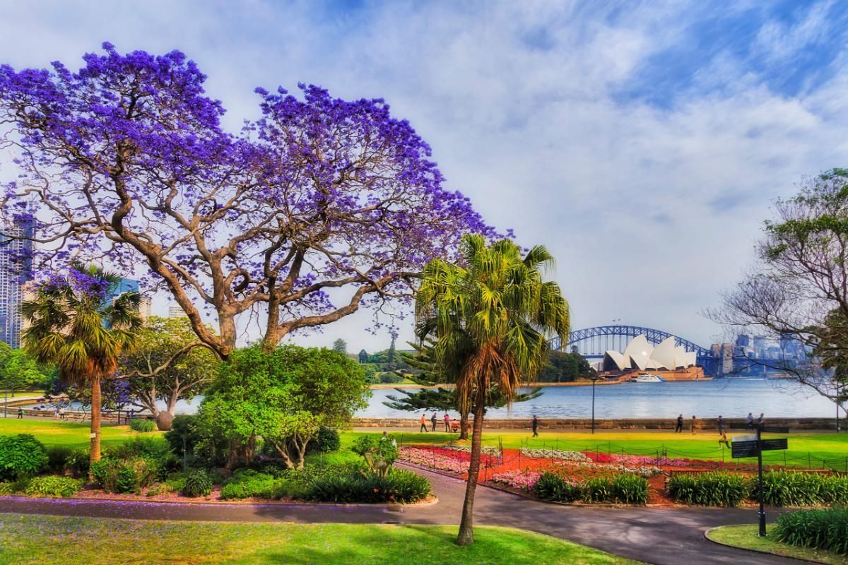 Royal Botanic Garden