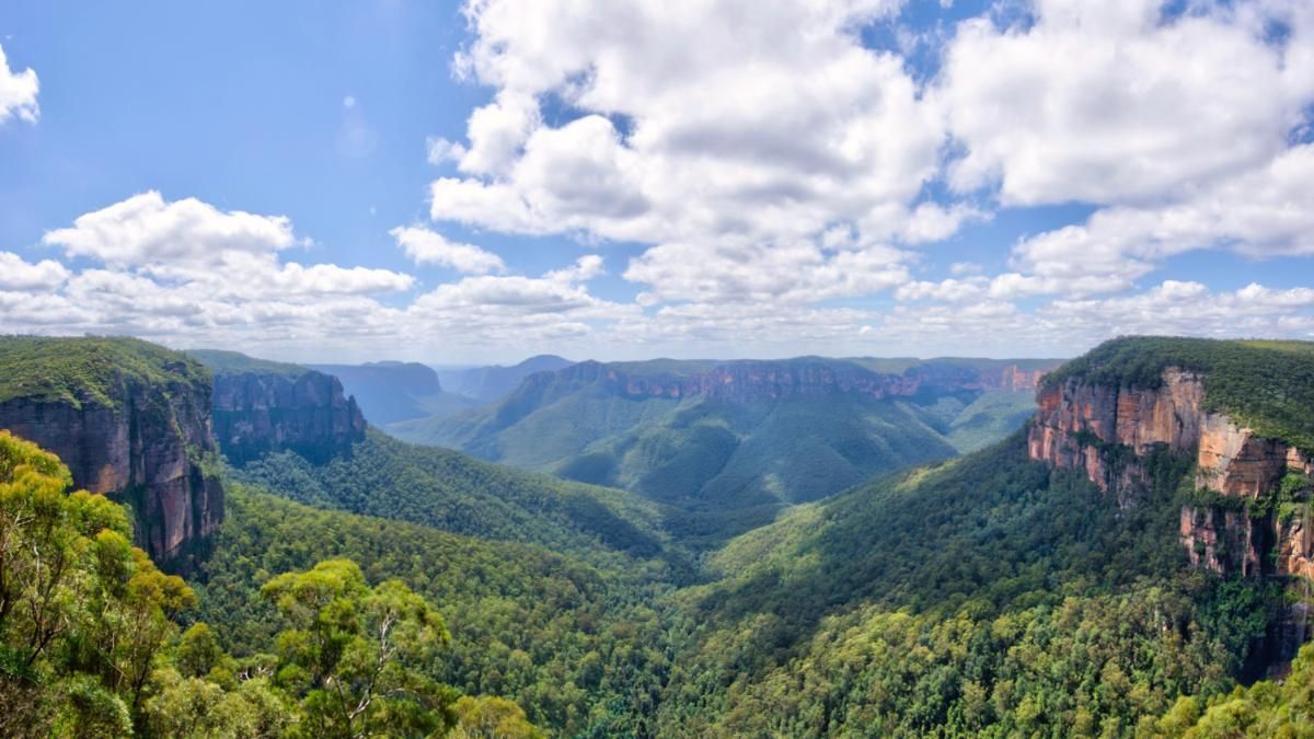 Blue Mountains National Park