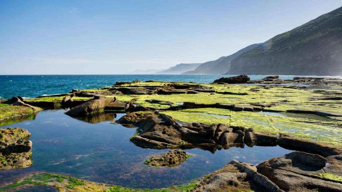 Royal National Park