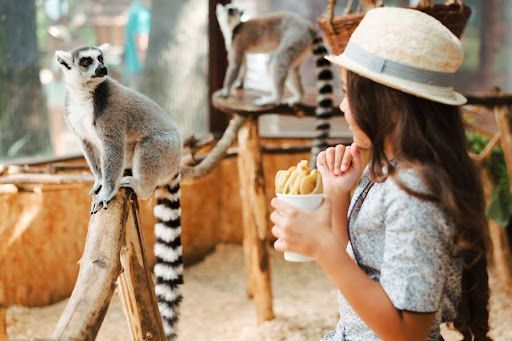 Family-Friendly Attractions in Sydney
